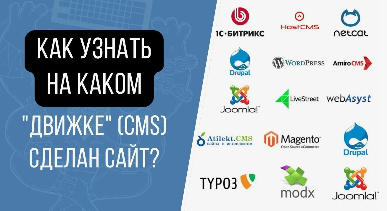 Как узнать на какой платформе создан сайт: простые способы, которые работают на практике