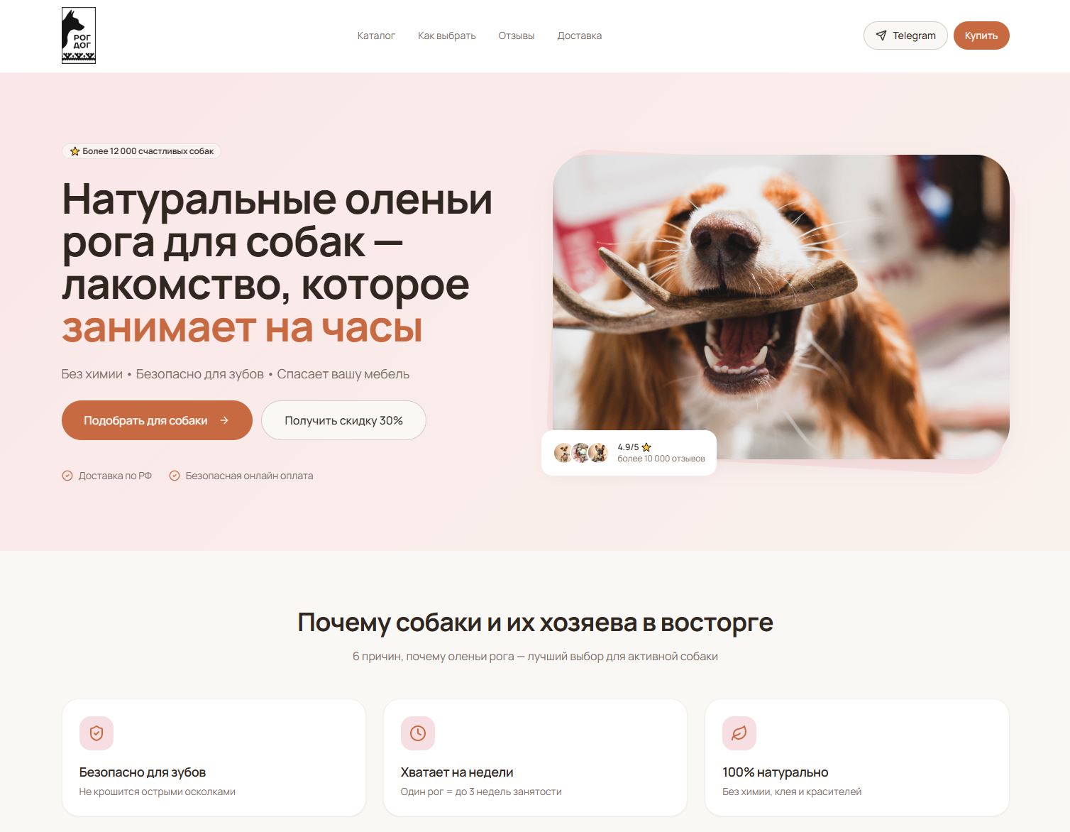 Товары для животных — пример сайта от студии Дом сайтов